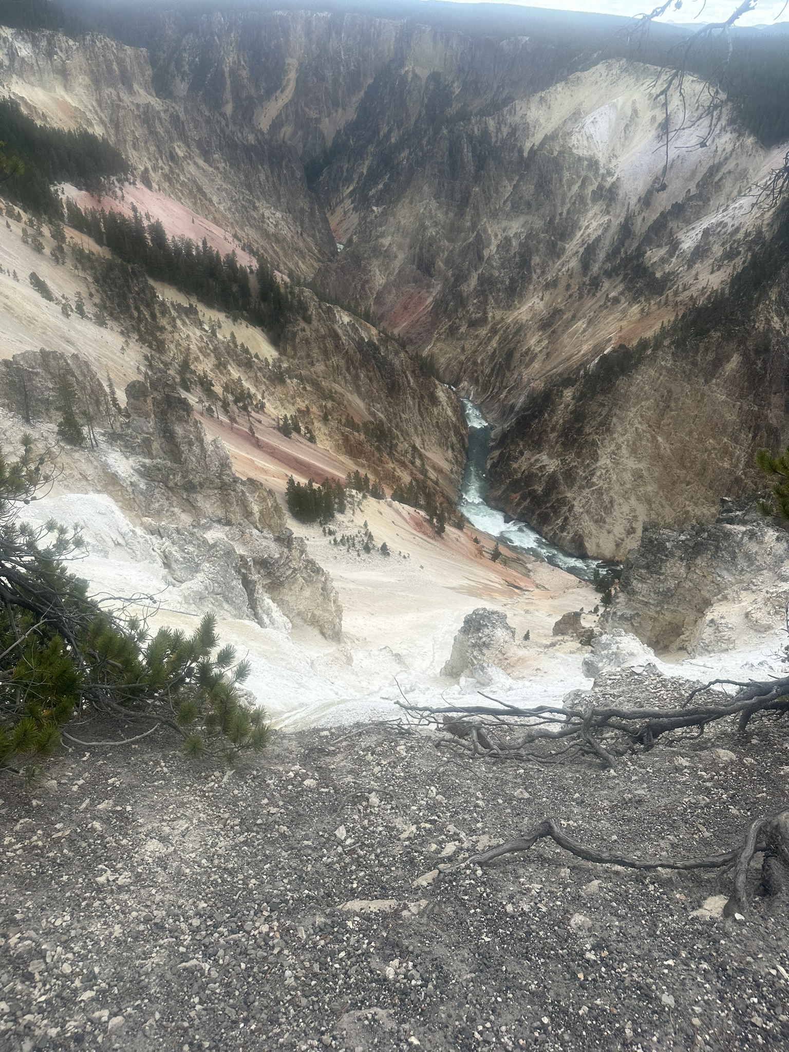Yellowstone And Grand Teton National Parks - Image 621